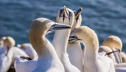 ayx体育博彩-复健神技能：快准稳助球员快速恢复，复健运动怎么做