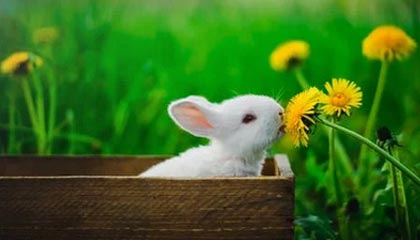 ayx体育博彩-复健神技能：快准稳助球员快速恢复，复健运动怎么做