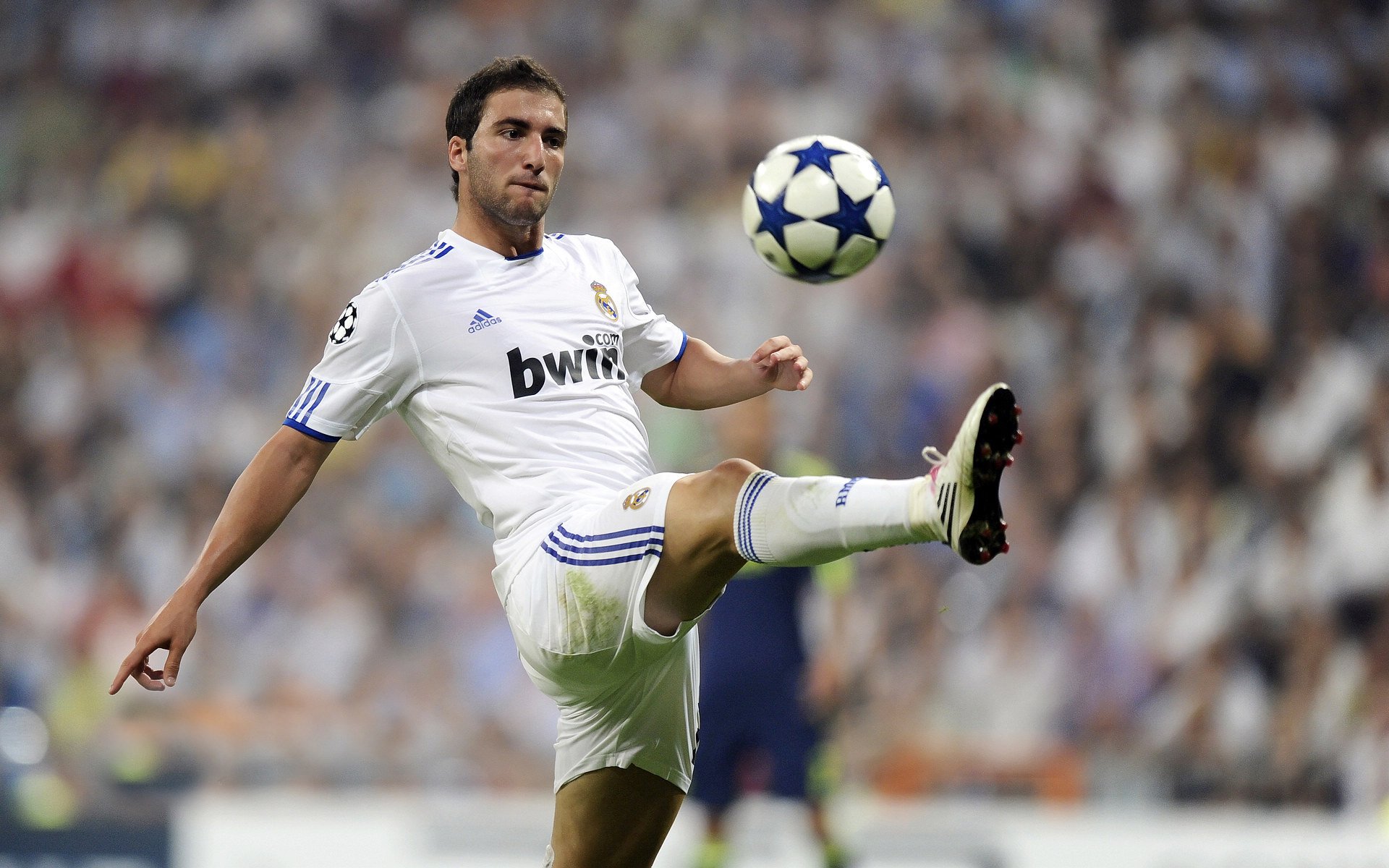 李轩豪在“湾区杯”围棋大棋士赛中战胜卫冕冠军杨楷文，围棋选手李轩豪